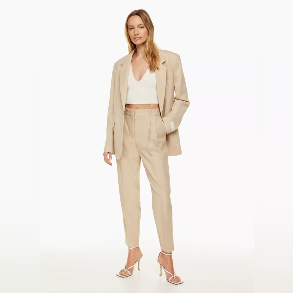 Aritzia Babaton Vogue Pant